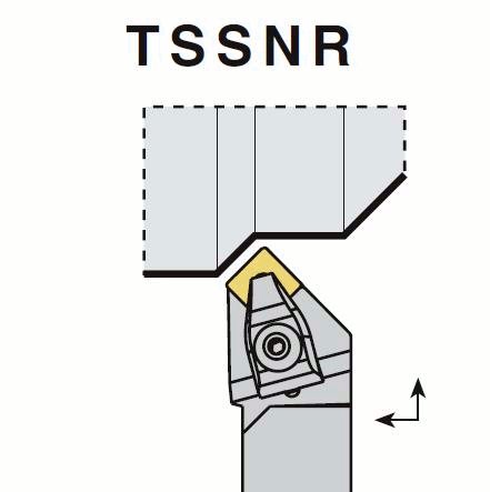 TSSNR